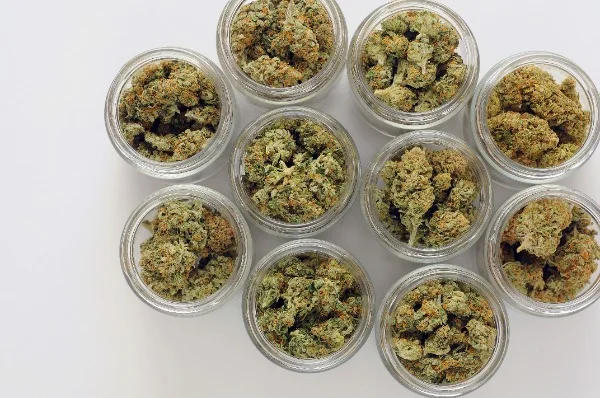 Cannabis flowers 