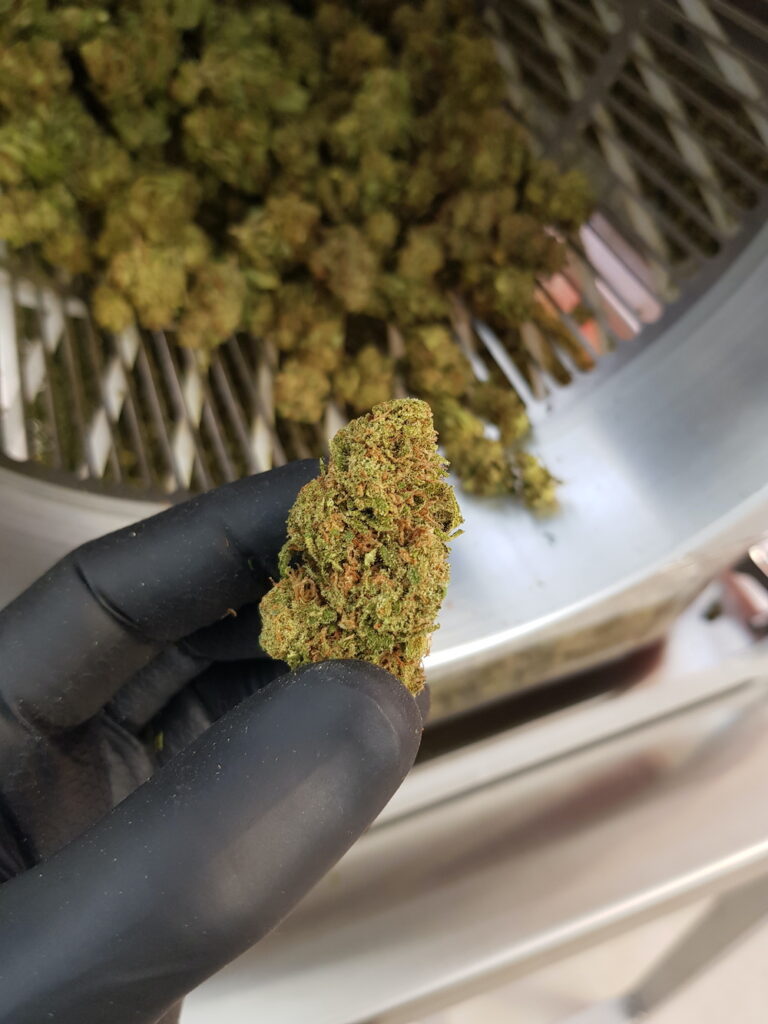 Flower dry trimming
