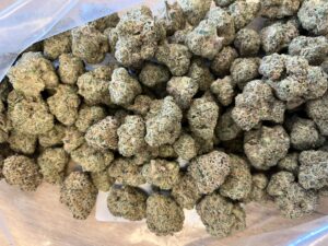 Cannabis buds