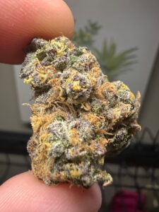 Cannabis terpene