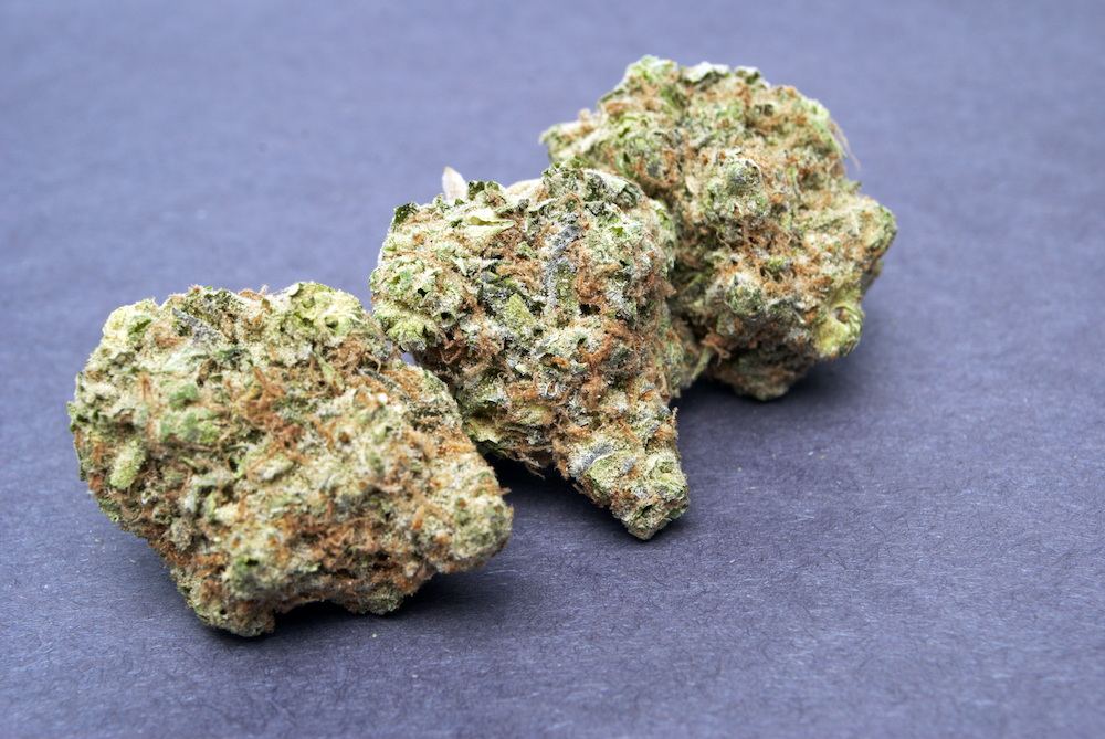 How to choose the best cannabis trimming machine for your grow operation