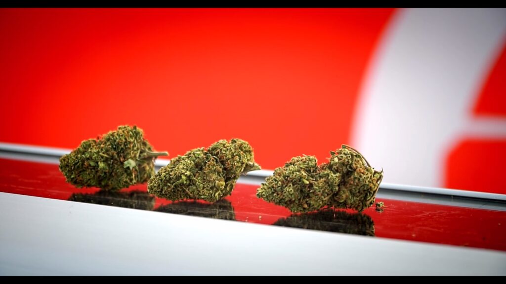 preserve terpenes and trichomes mechanical trimming