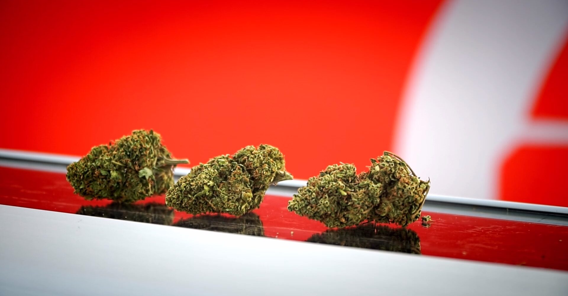 preserve terpenes and trichomes mechanical trimming